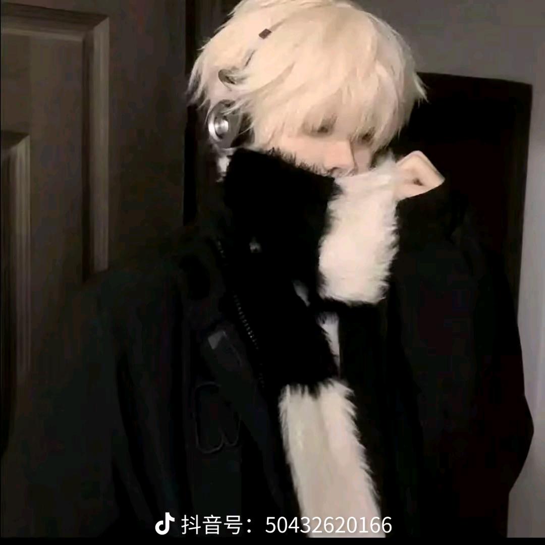 巨齿鲨