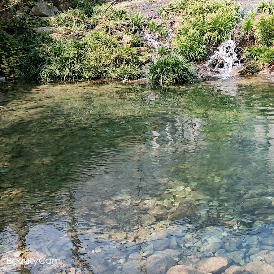 ృ༊七秒記憶♡