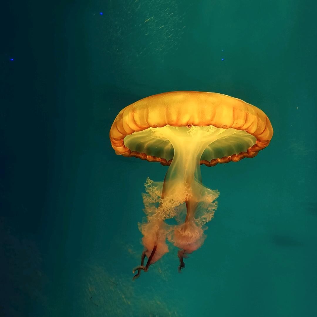 踏遍山河仍存心底热忱