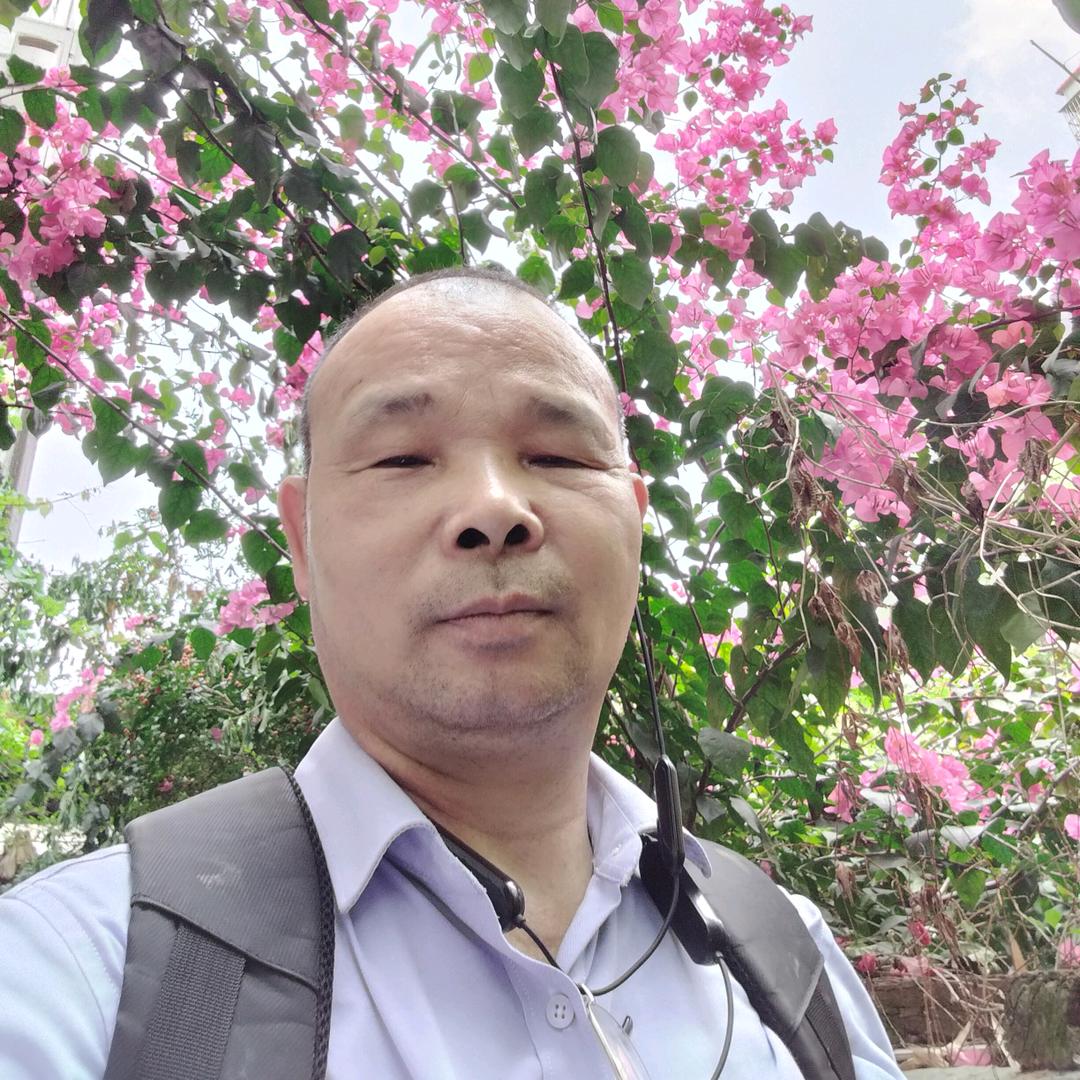 暖羊羊（20点10分首播）