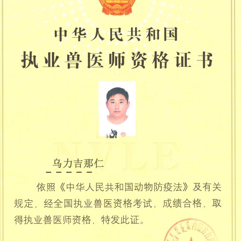 执业兽医那仁