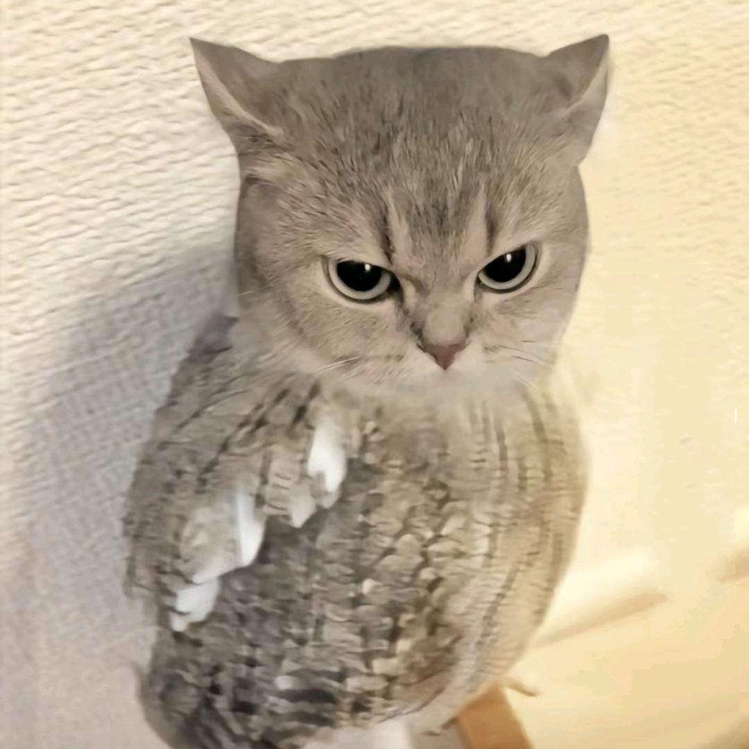 凉白开