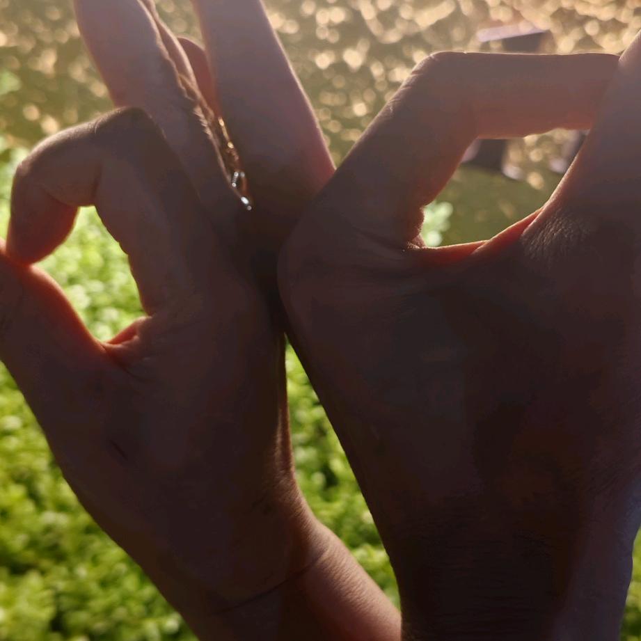 三力士皮带-皮带涨紧轮