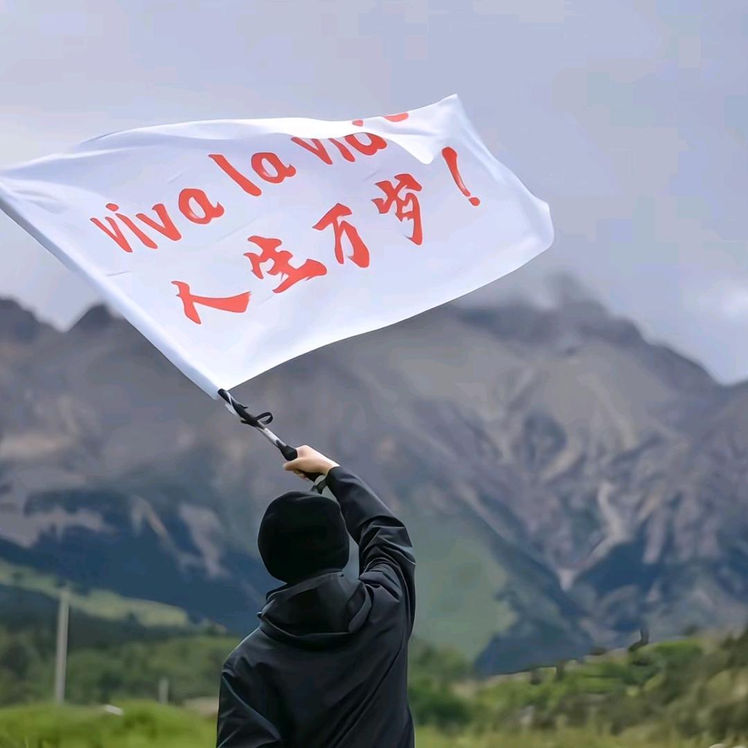 用户315