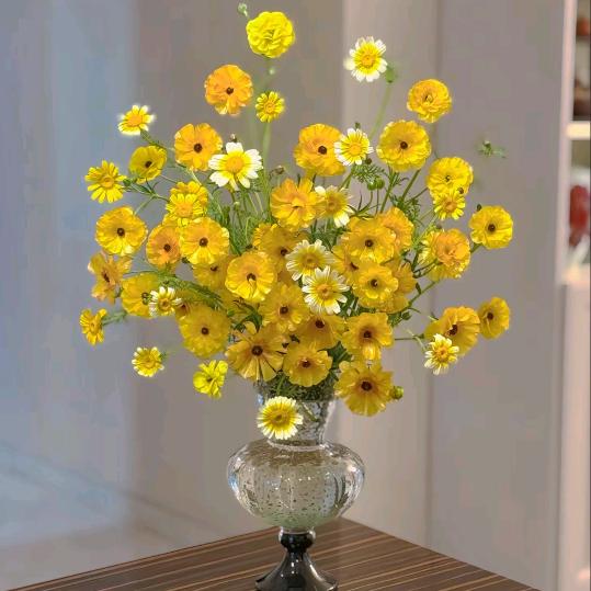💛💛💛💛💛
