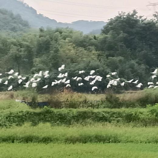 8加1