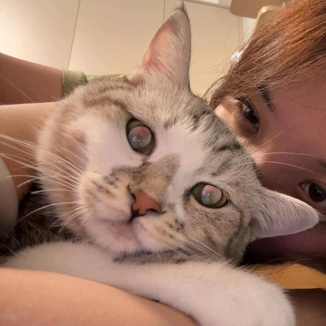 聊赠一枝春Caelux