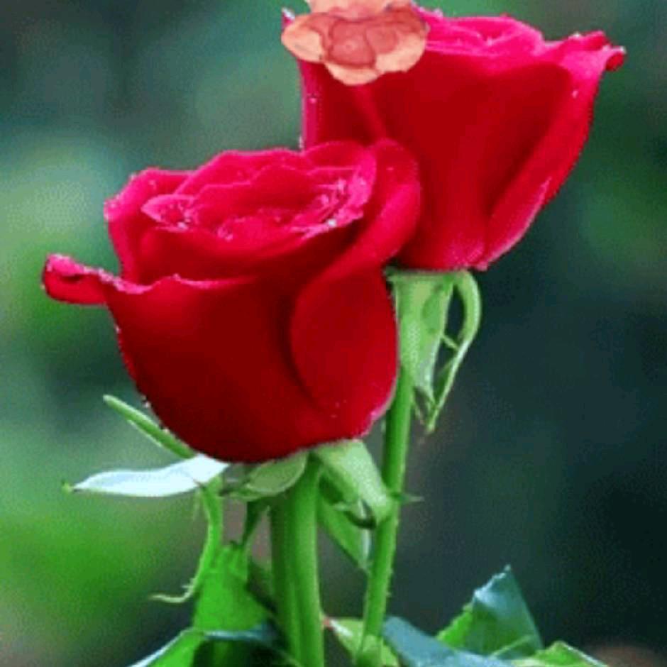 四川妹妹🍒🍒🍒🍒