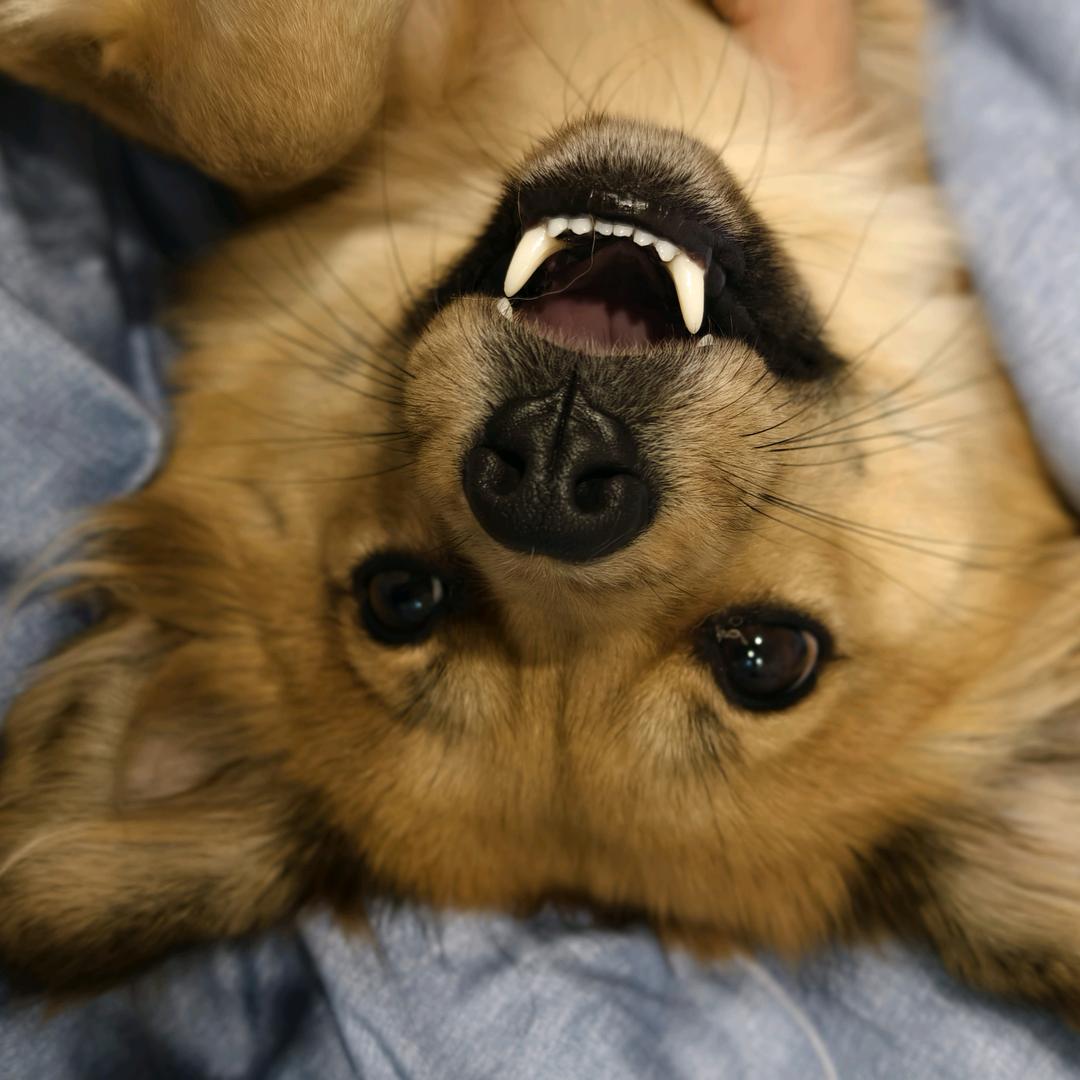 🍉🍉🍉🍉🍉🍉🍉🍉🍉🍉