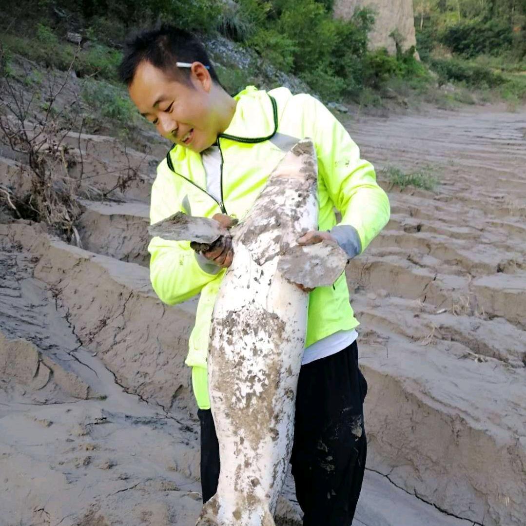 🐟🐟🐟丹丽湖钓场🎣🎣🎣