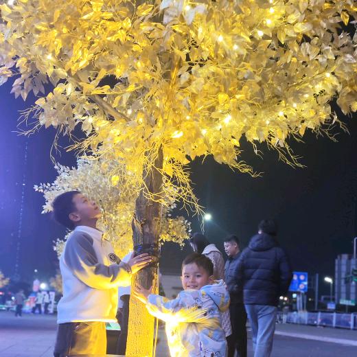 ꙳ ♡ ༘团子呀♡◍