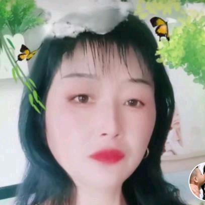 晋宝奶奶