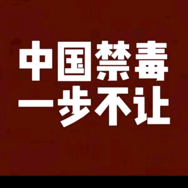 猫猫（赚钱版）
