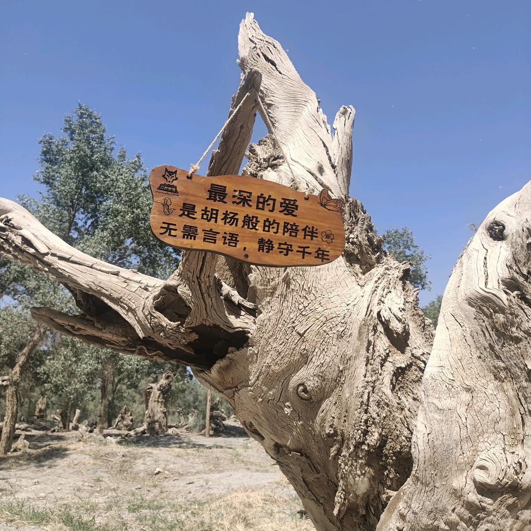 yℳJ半颗糖🍬:L