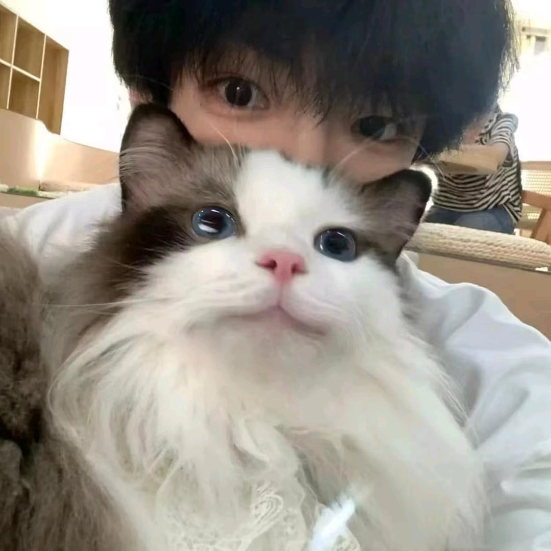 言兮