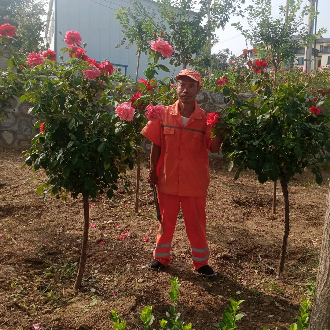 日月凌空，君凌天下
