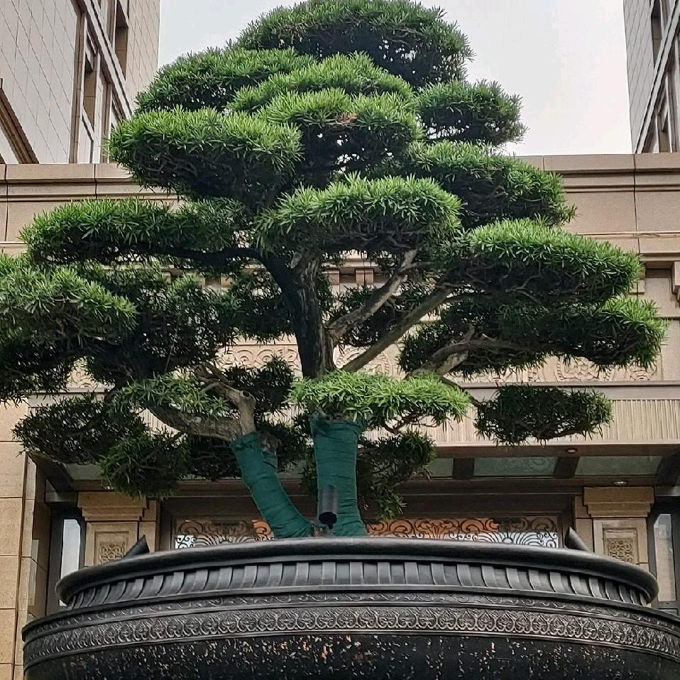 渐江杭州