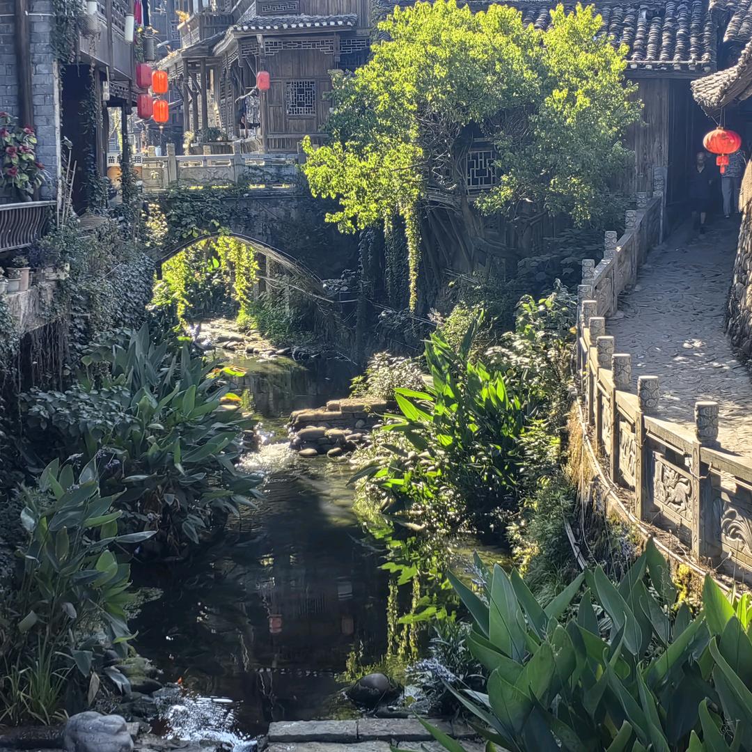 鄒一没有星期天