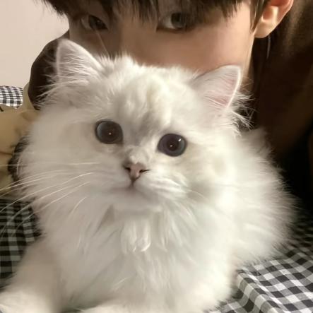 只有emo才会更新