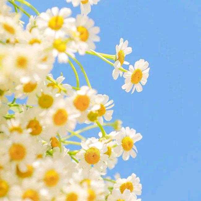 💞ℒᎭℯ⃝余生ᩚ安好💞