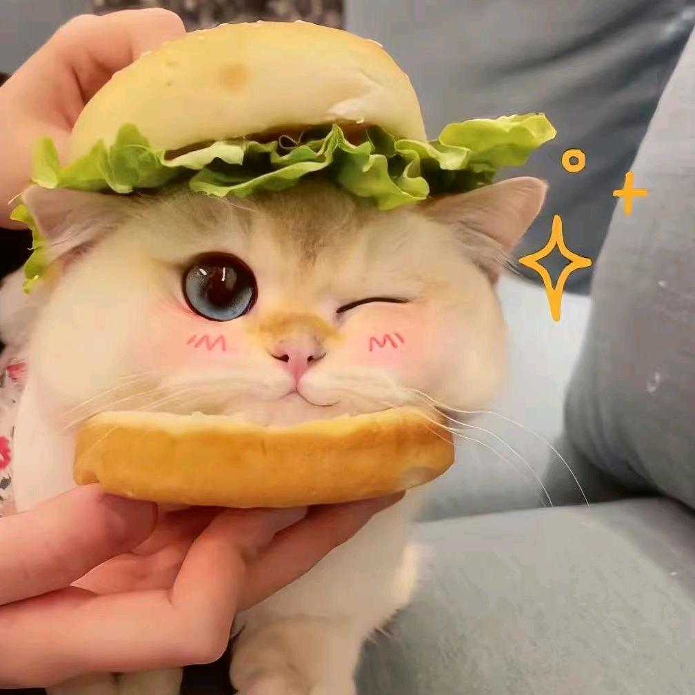 ( ᵒ̴̶̷̤໐ᵒ̴̶̷̤ )