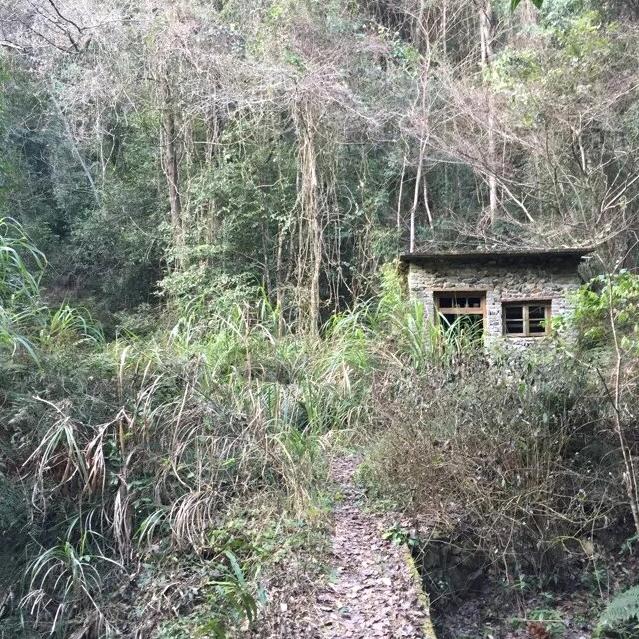 中秋没月饼能赏月吗