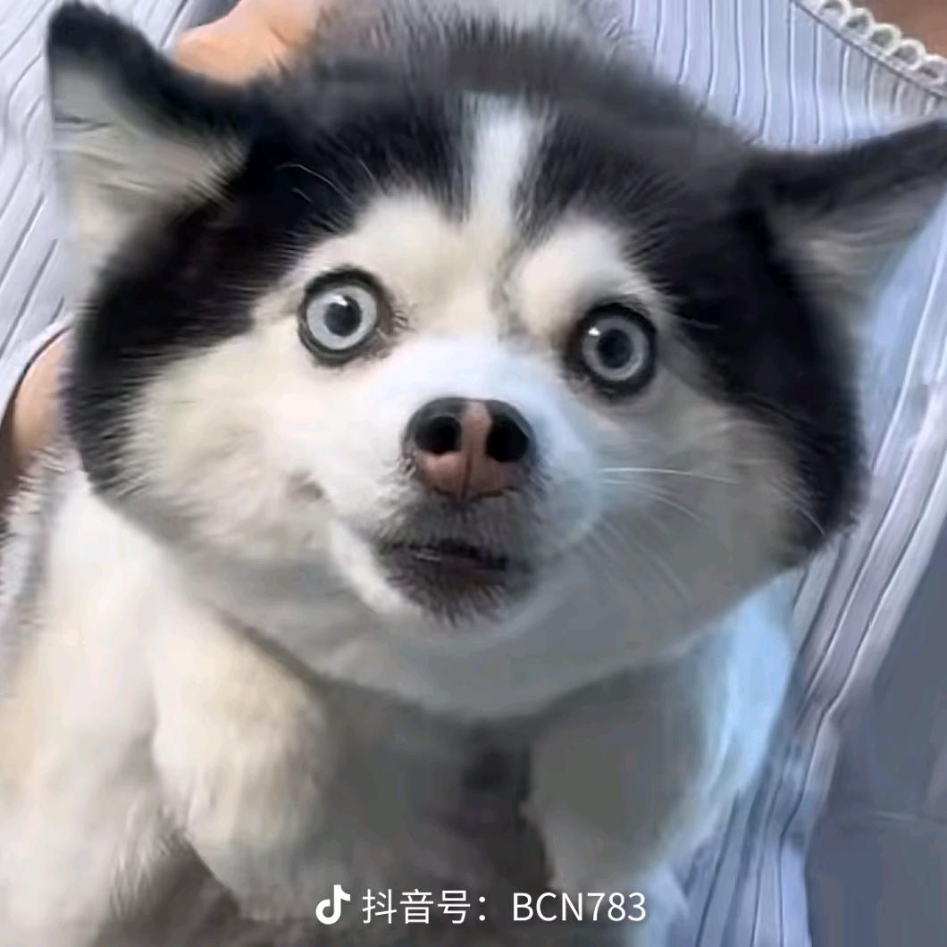 寒江雪☁️🏂🏻🍡⁹⁵⁶