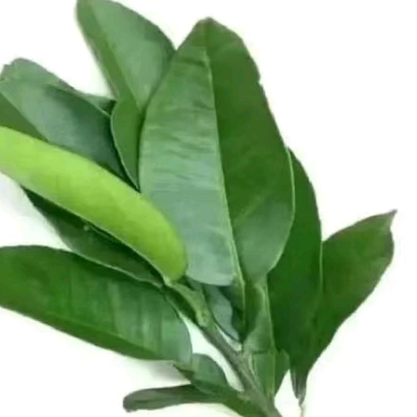 土豆大麦