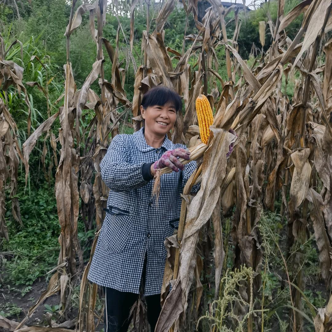 农民姐（腊小年）每晚上8点开播