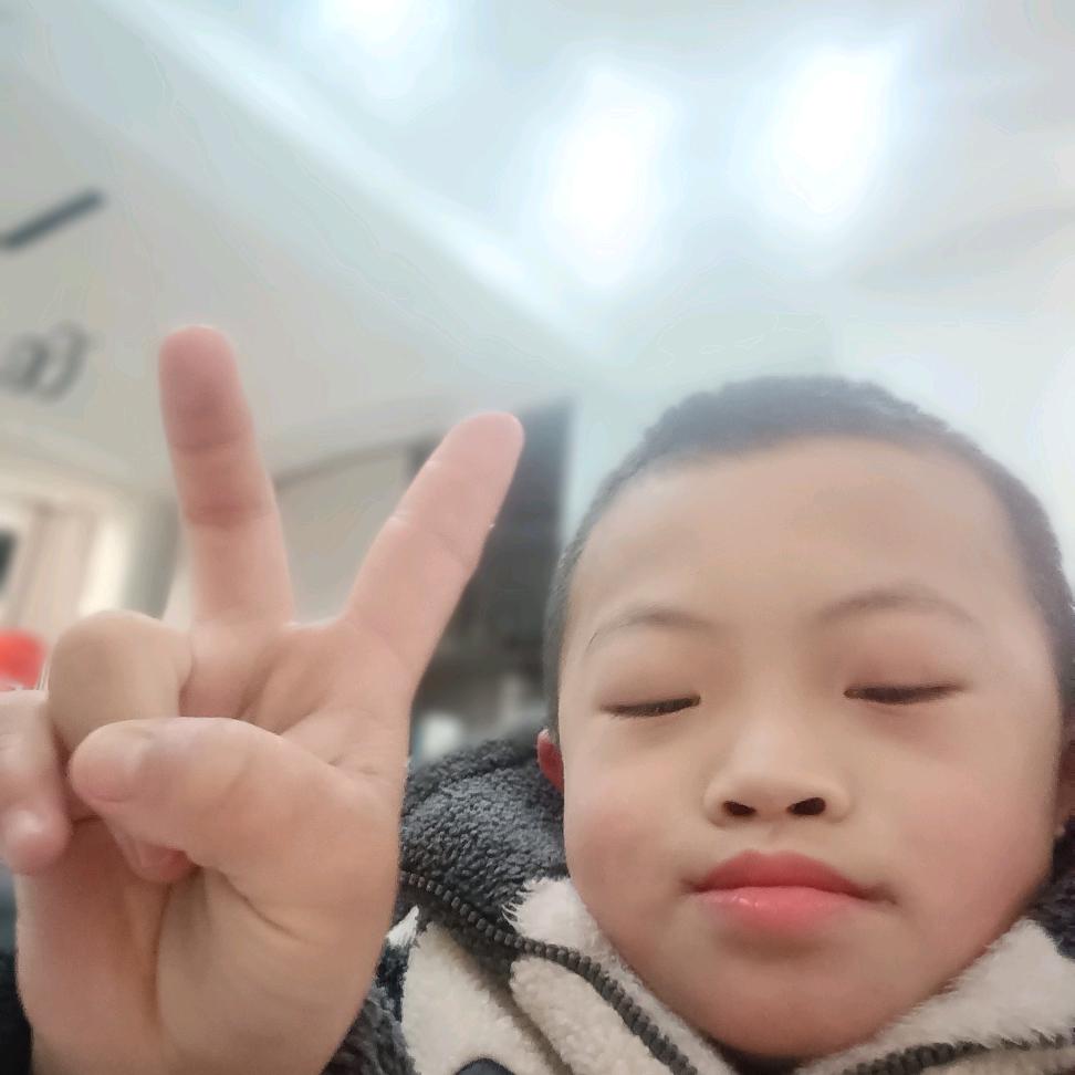 孤雁南飞