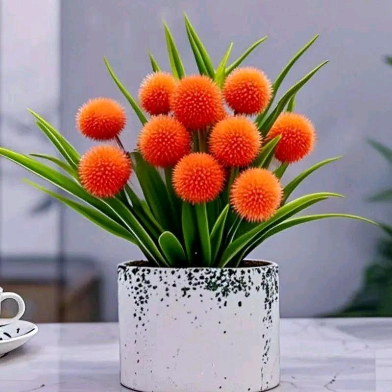 事事顺心🌹🌹🌹