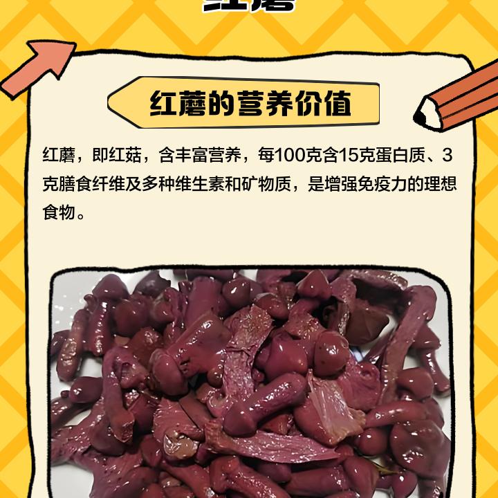 北票跑山人农产品严选小铺