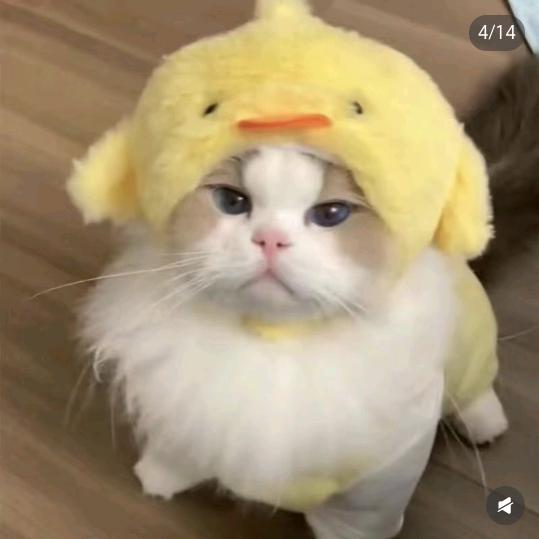 咔咔推文