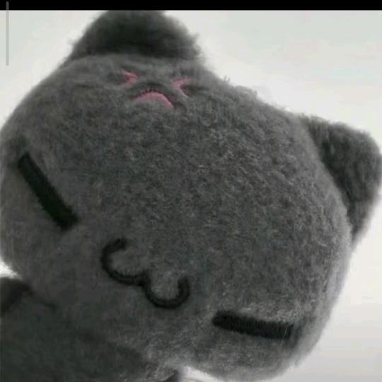 我在晚风中等你