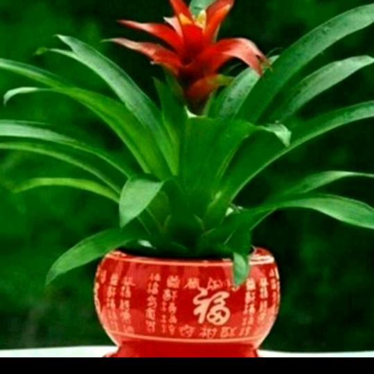 流浪在外😋 💋💋