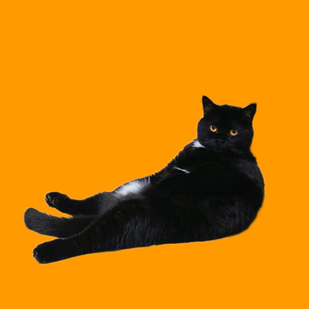 当前用户已注销