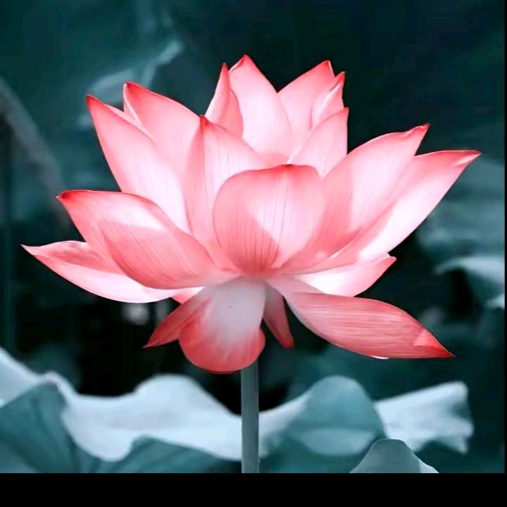 睢县至普陀山祈福专线