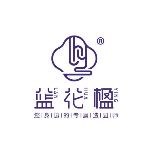 成都蓝花楹.造园