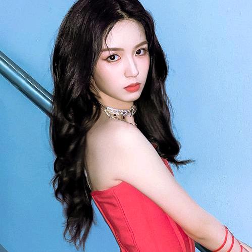 塔罗小仙女