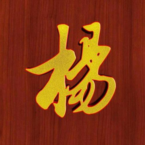 老杨看世界