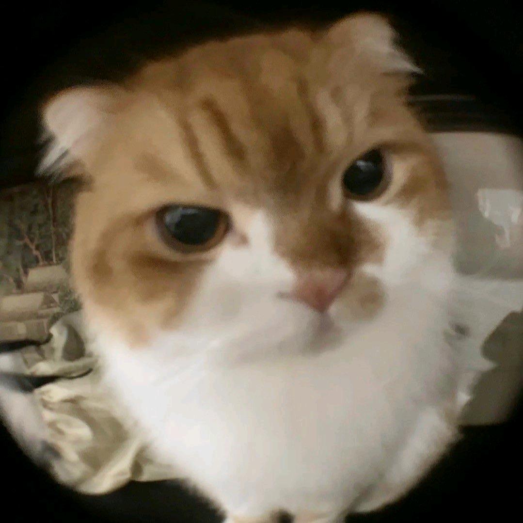 方程式