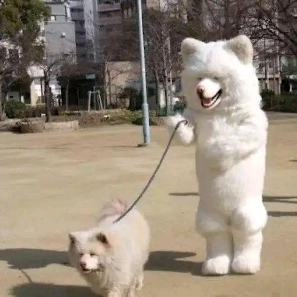 三角洲跑刀版