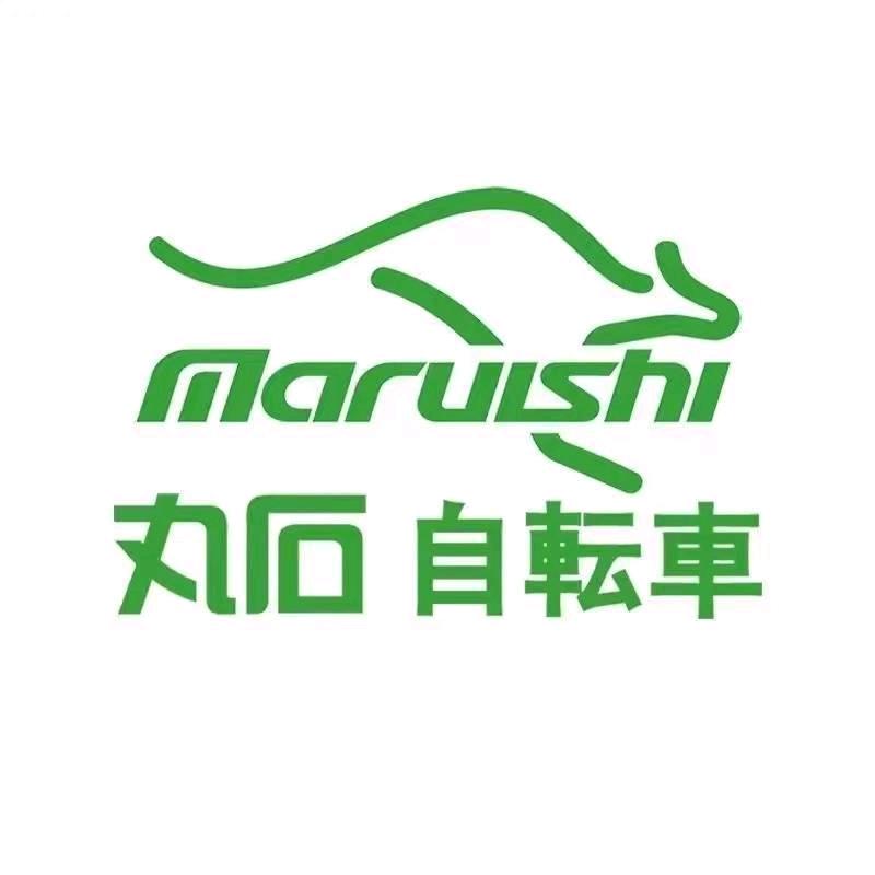 Maruishi丸石轴传动自行车
