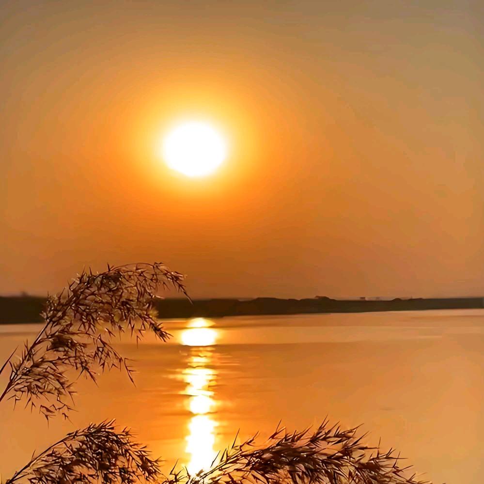 臻品好物分享、