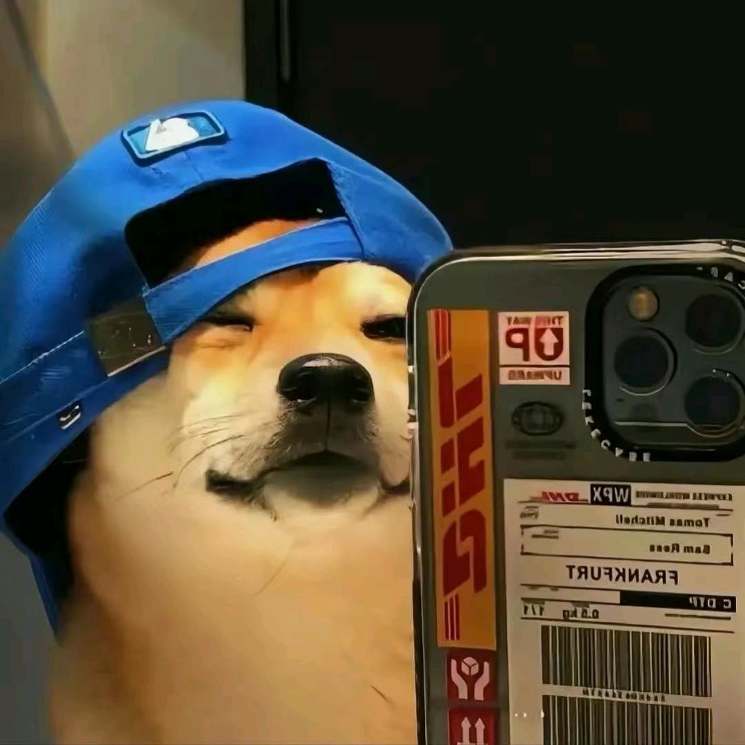 小七崽
