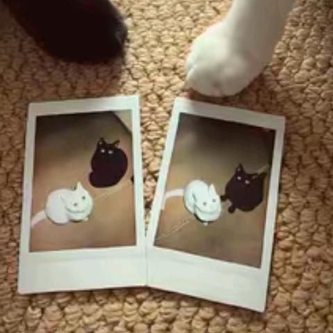 劉灿灿灿灿灿