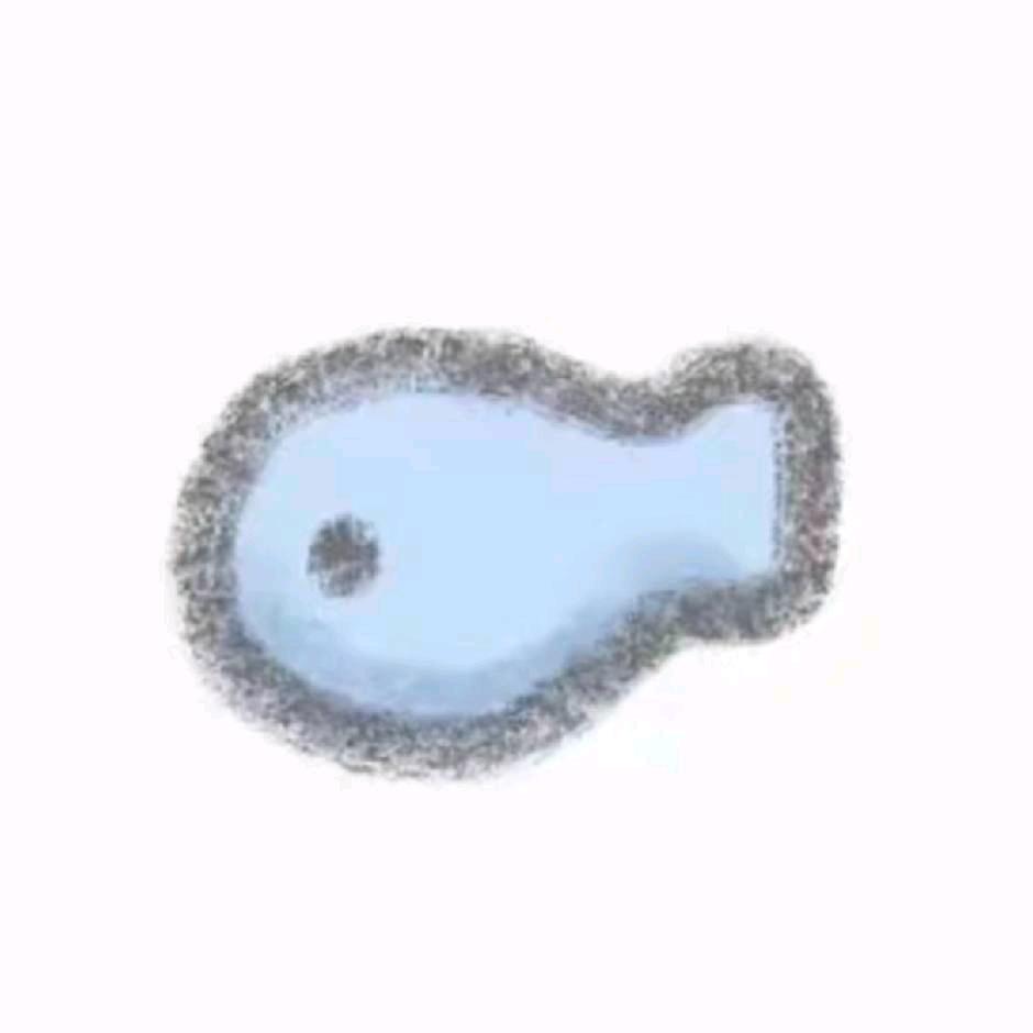 小渔