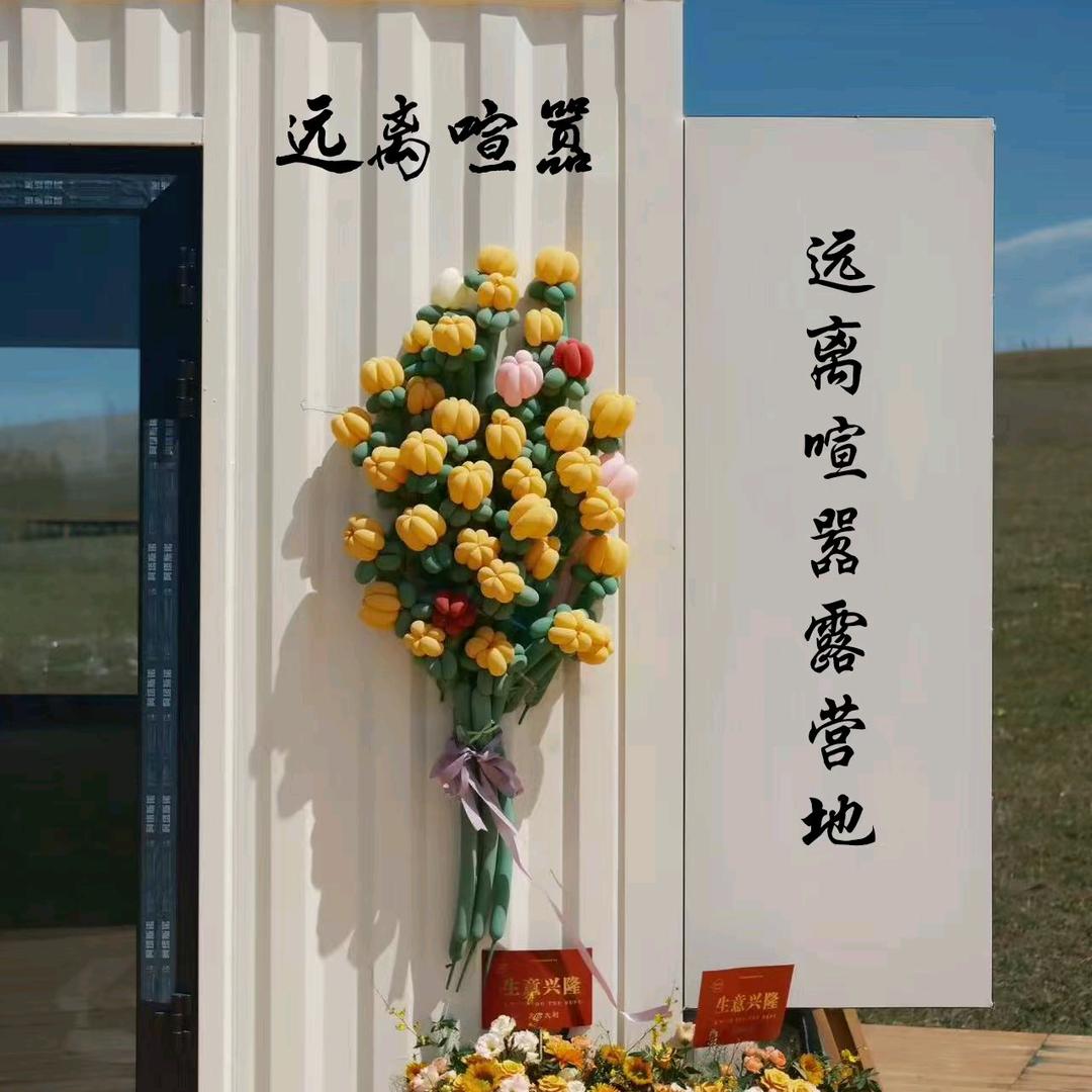 远离喧嚣-露营地