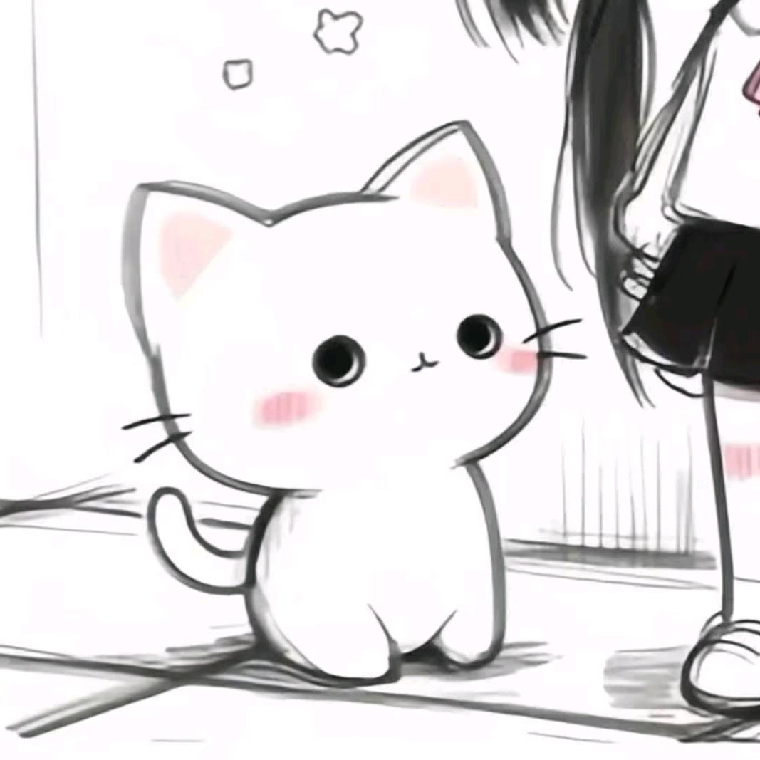 小志ovo