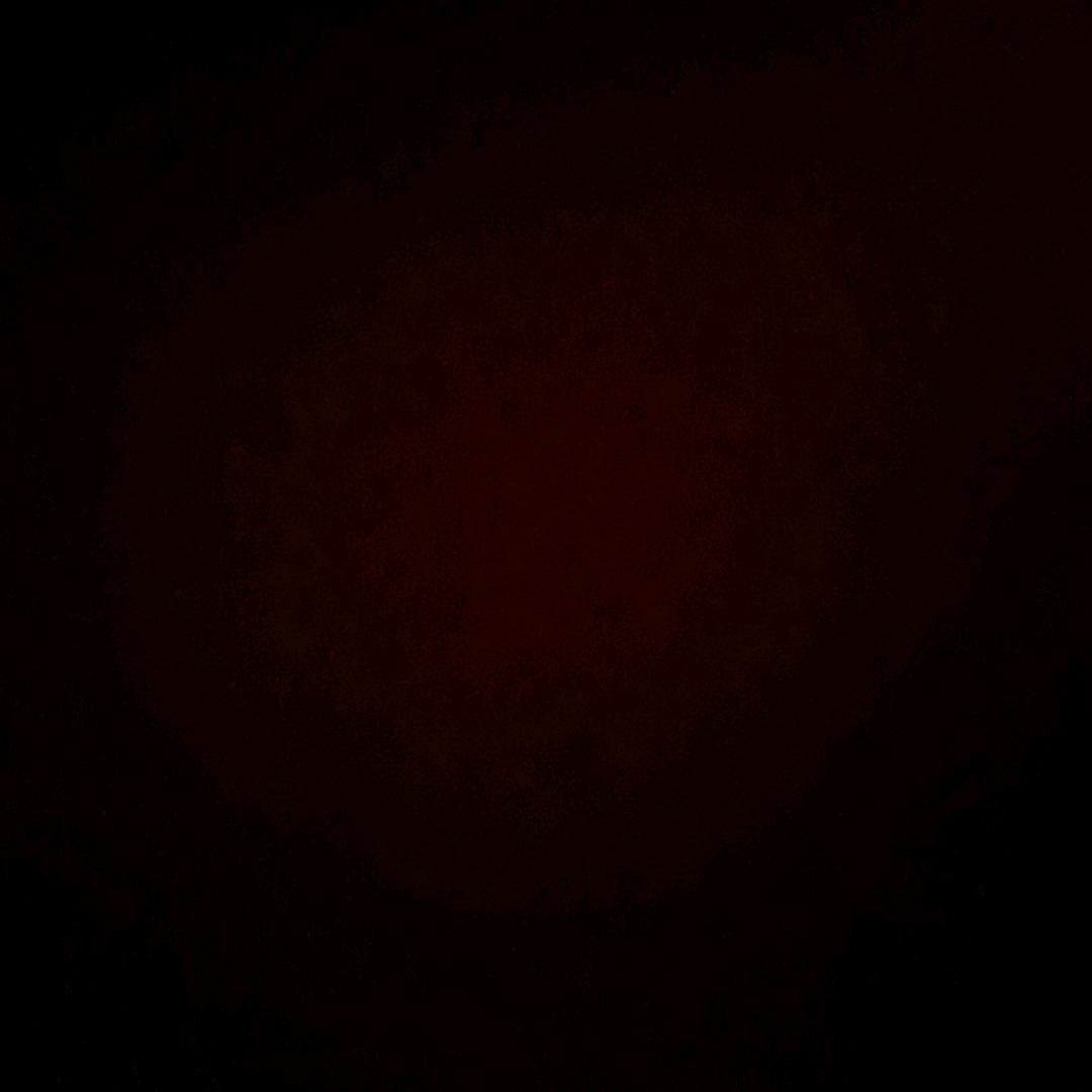 惠姨金卤世家小童